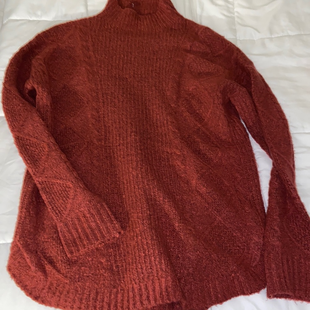 Francesca’s Turtleneck